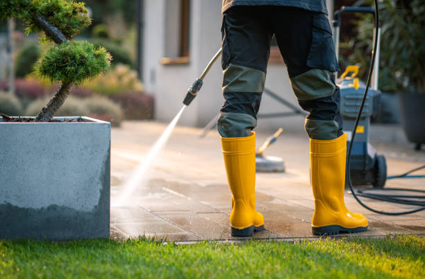 Best Exterior Home Cleaning  in Bonham, TX